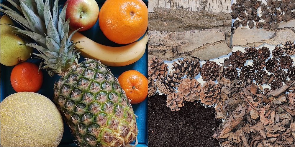 Tastbox Modul 2-3 Silke Grieß