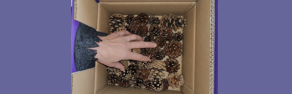 Tastbox Material Silke Grieß