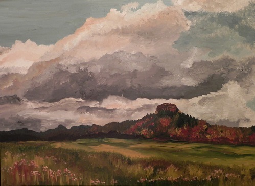 Radebeuler Weinberge Silke Grieß