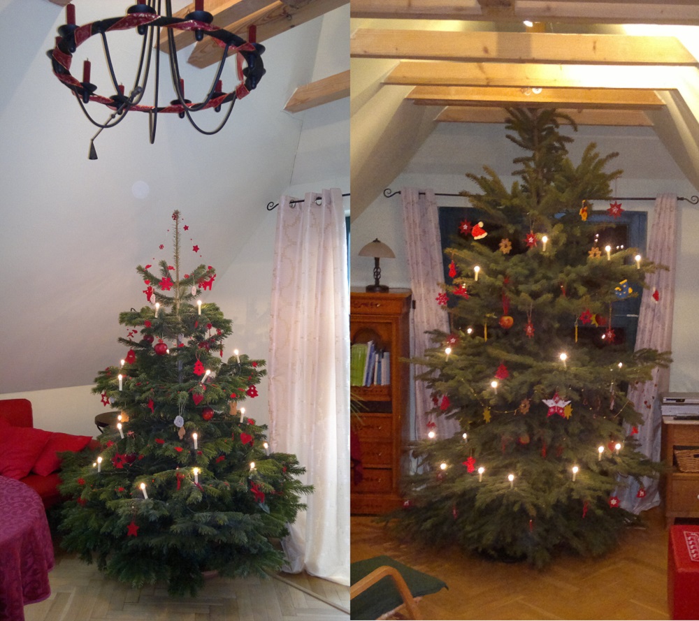 Weihnachtsbaum Silke Griess