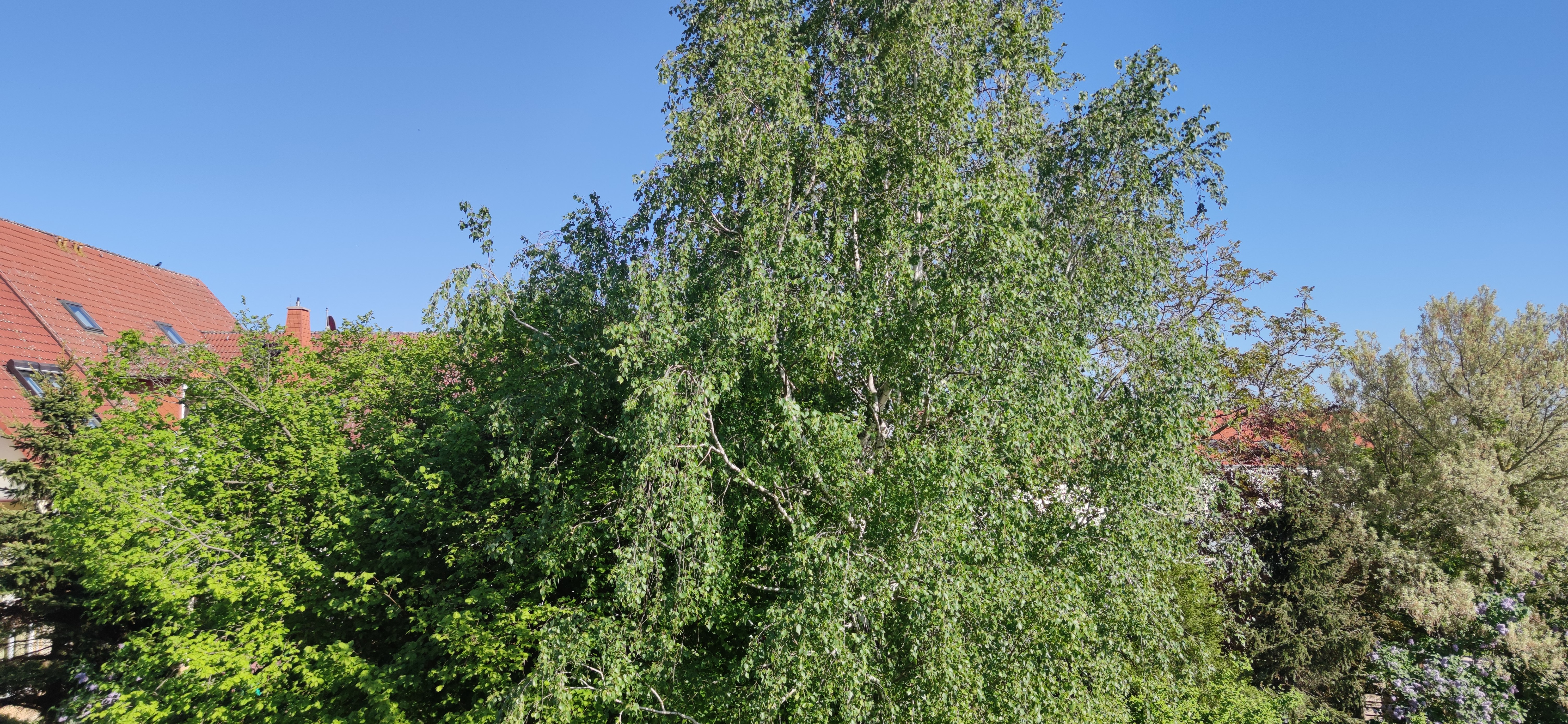 Ferienwohnung Ausblick Silke Grieß