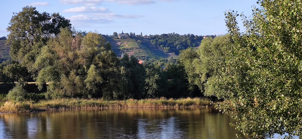 Elblandschaft Dresden Niedergohlis Blick zum Spitzhaus Silke Grieß