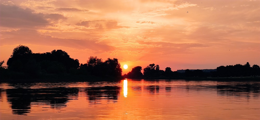 Blick Richtung Radebeul Silke Grieß
